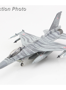 2月 HA38072 F16C Maj.Maciej波兰 HM will donate 10% to family