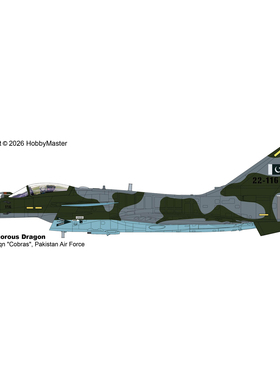 8月 HA9402 歼10战斗机 J-10CE 第15中队