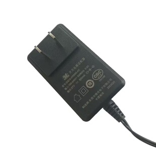 X1X3电源适配器 C11 C12 C10 适配苏泊尔吸尘器充电器C3