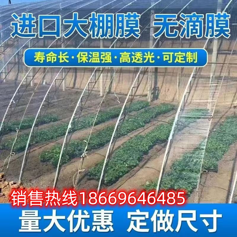 全新料大棚膜防晒抗老化防水高透光大棚塑料膜防尘遮盖加厚无滴膜