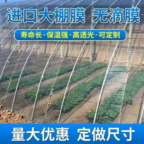 抗老化pe大棚膜韩亚流滴