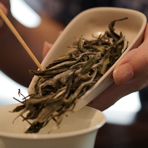 2020年白茶白牡丹福鼎白茶