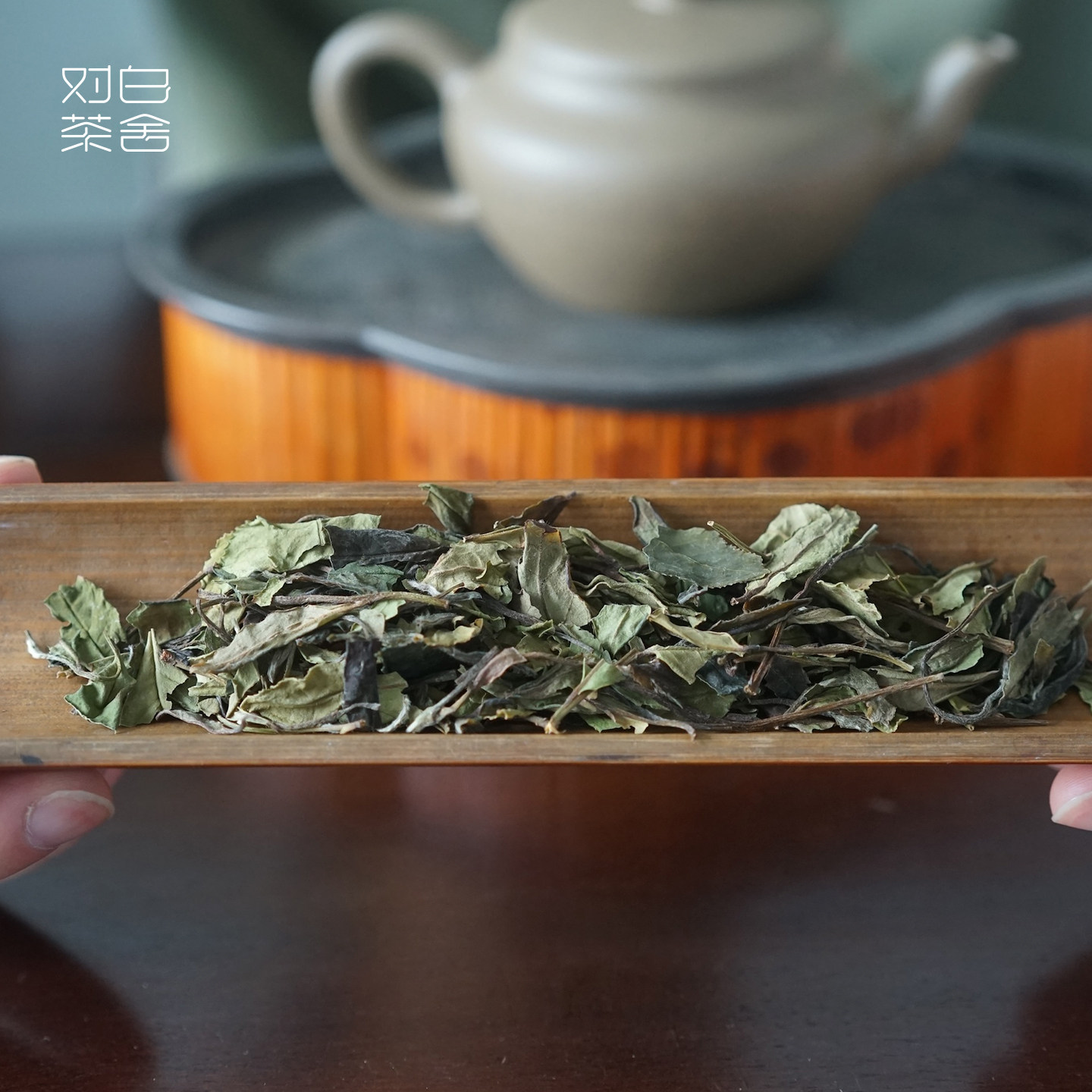 【对白茶舍】白云盏 2021年群体种菜茶福鼎白茶贡眉自饮礼盒送礼