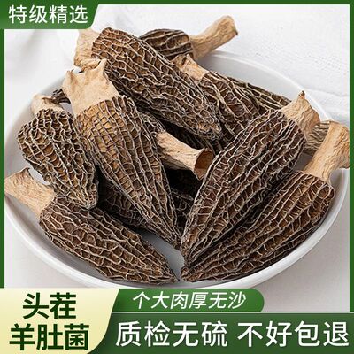 超大羊肚菌干货云南特产新鲜头茬煲汤营养滋补食材批发蘑菇