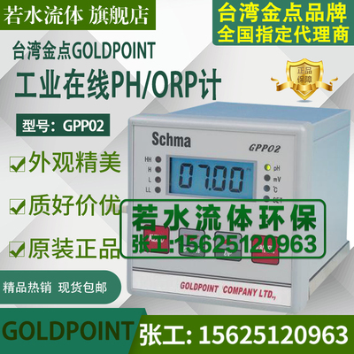GPP02金点GOLDPOINT酸度计PH计