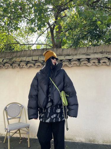 95白鸭绒两色立领简约羽绒服