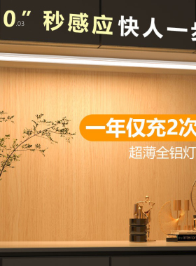 LED橱柜灯智能人体感应灯条无线厨房鞋柜衣柜灯家用卧室睡眠夜灯