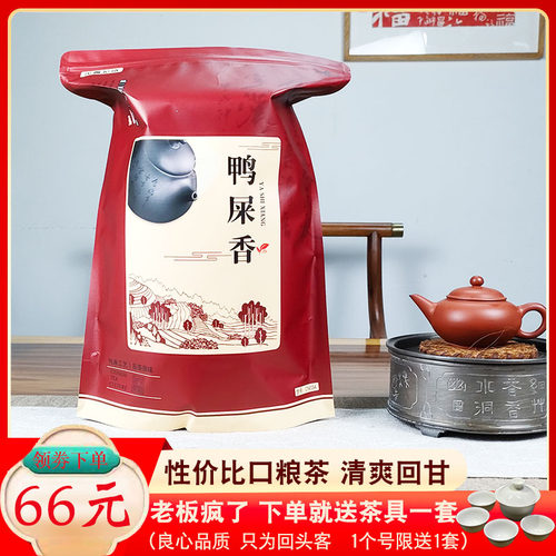 枞茶新春潮州高山清香型凤凰单丛