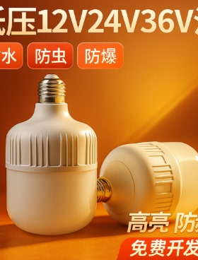 12vled灯24v36v48v低压灯泡e27螺口交直流工地电瓶太阳能节能灯