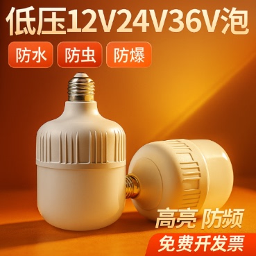 12vled灯24v36v48v低压灯泡e27螺口交直流工地电瓶太阳能节能灯
