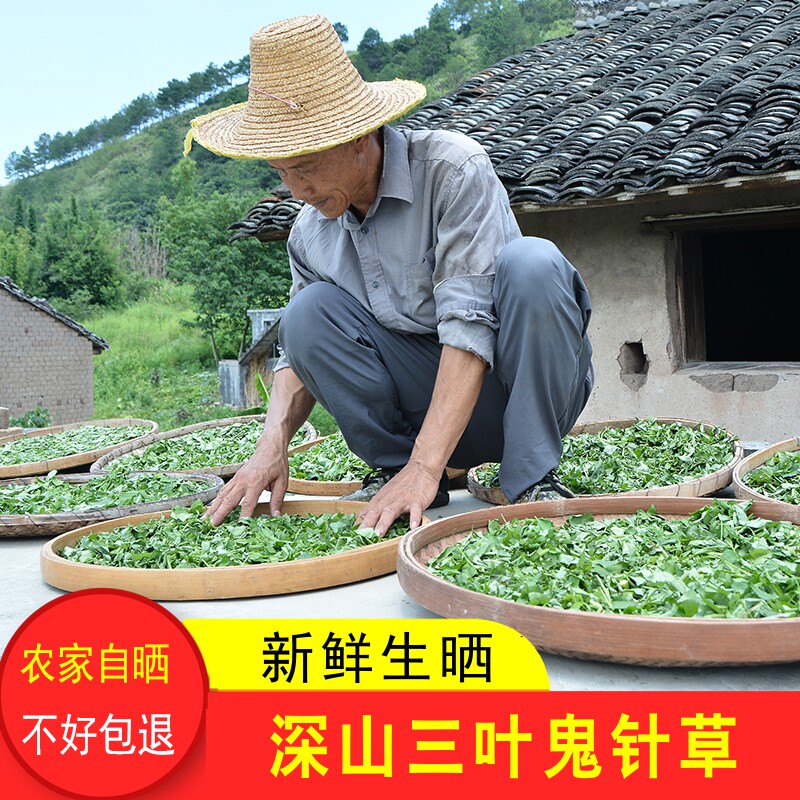 深山鬼针草新货生晒无硫500g农家晒干鬼钗草粘人草手工切有叶有杆