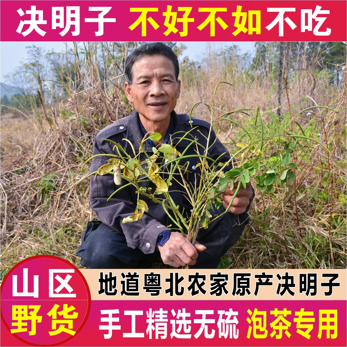 深山野生决明子500g泡茶喝更舒服券后38元