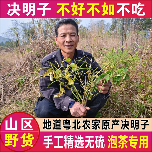 农家野生决明子熟决明子茶草决明