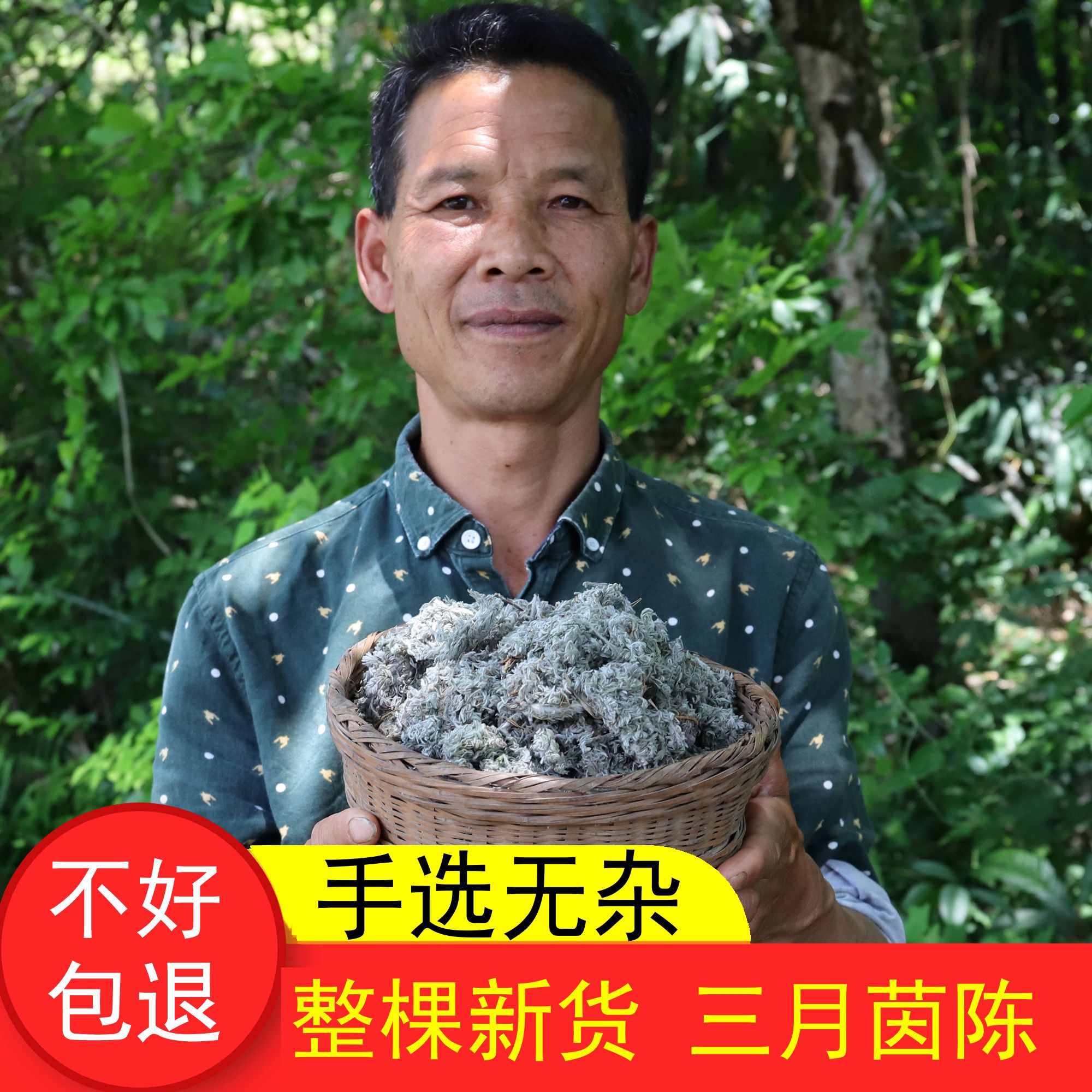农家棉茵陈茵陈草绵茵陈野生新鲜干货无硫500g白蒿茵陈篙草干茵陈