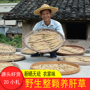 粤北山区野生养肝草20小扎农家新鲜晒无硫养肝金草丝线根干货炖汤