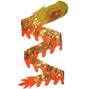 舞龙彩带健身甩甩龙道具儿童学生龙头舞龙表演广场舞健身甩彩带龙