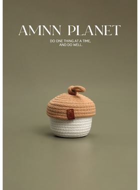 AMNN 可爱迷你坚果棉线收纳筐玄关钥匙首饰带盖整理收纳置物篮子