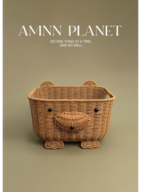 AMNN 创意可爱小狗熊收纳篮2025新款手工编织水果零食杂物整理篮