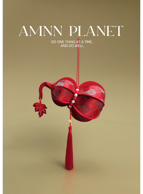 AMNN 2025蛇年新年氛围感装饰葫芦春节门口入户玄关客厅摆件布置