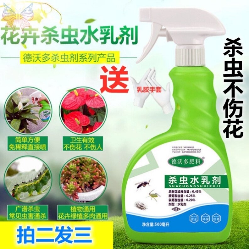 室内植物除虫价格 室内植物除虫图片 星期三