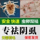 阴虱药男士 用私女处灭阴虱成人专用虱子药虫卵双杀治阴毛卵药痒膏