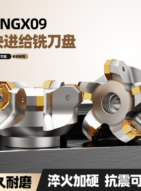 NC45HX0906双面快进给铣刀盘HNGX0906刀片平面45刀盘通装普拉米特