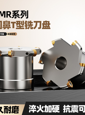 TMR圆鼻T型槽刀盘R3 R4 R5 R6键槽数控开圆弧槽三面刃铣刀盘