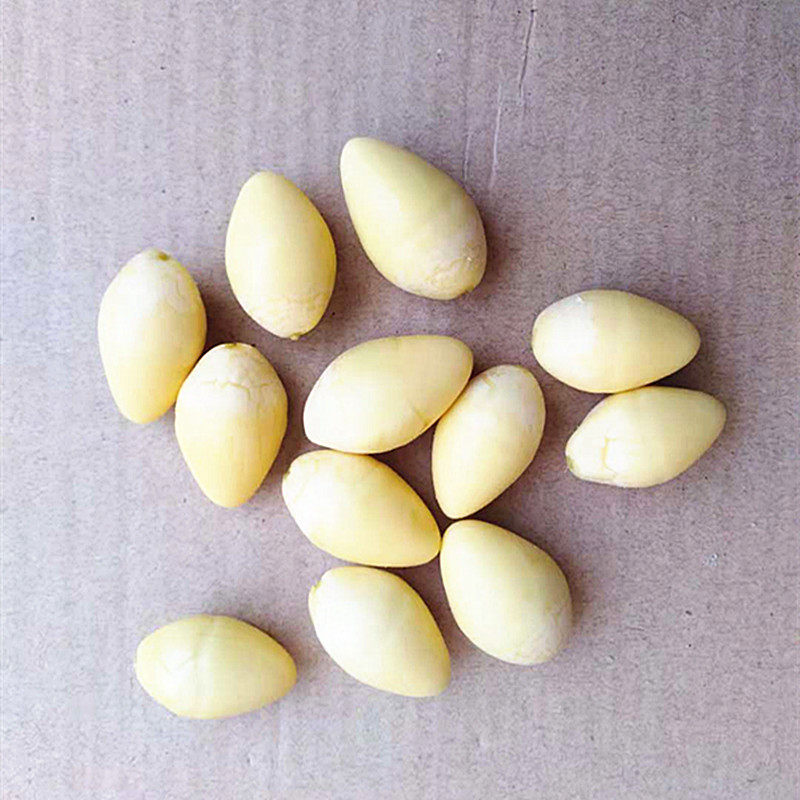 天然 无添加 新鲜去壳去衣生白果仁3斤包邮去皮生银杏果仁