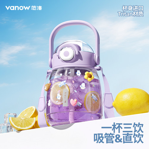 Vanow高颜值大肚杯吸管水杯