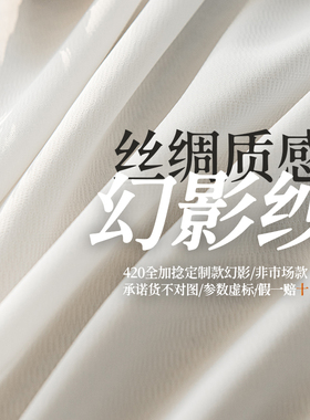 加厚加垂加捻丝绸质感幻影纱白纱窗纱正品透光不透人升级款420克