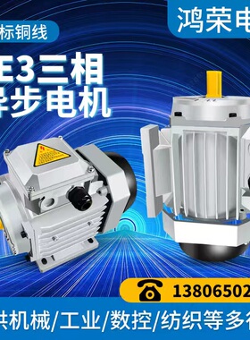 YE3白色电机0.12KW--75KW其他规格齐价格按照出厂价生产厂家直销