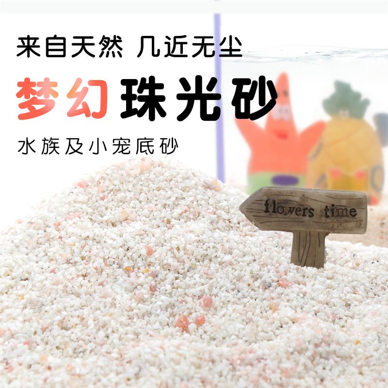 【海星专用沙】珠光砂海星专用砂无害鱼缸造景底砂免洗造景珊瑚砂