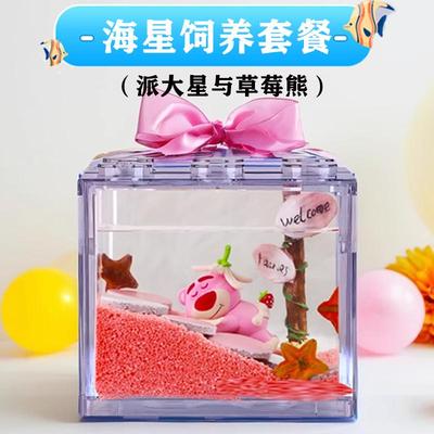 海星饲养套餐送海燕海星活体