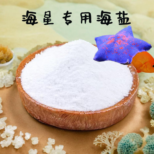 派大星专用盐海水鱼缸