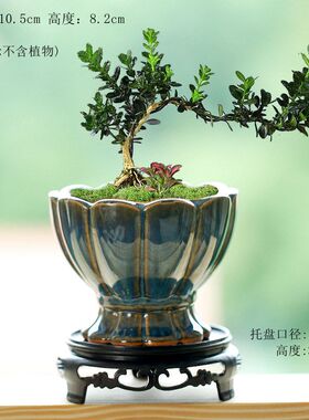 特价桌面花盆仓工厂直销复古荷花