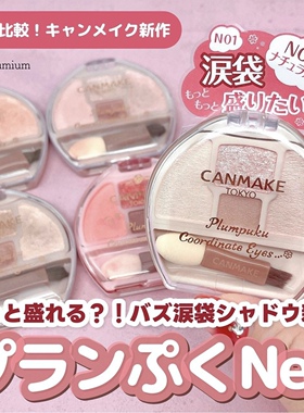 【现货】日本canmake井田新卧蚕眼影盘泪袋提亮限定04#02#N01#N02
