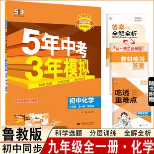 2025秋5年中考3年模拟五四制鲁教版化学初四九年级全一册同步练习53中考同步练习含吃透重难点答案全解全析9年级五年中考三年模拟