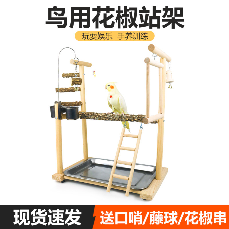 玄凤鹦鹉鸟架子买一送三
