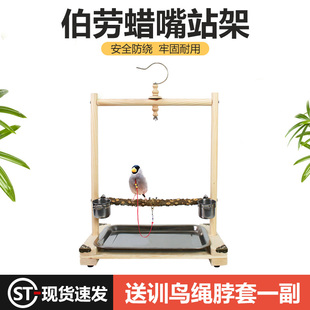 伯劳鸟站架八哥蜡嘴鹩哥四喜悬挂外出笼子鸟绳脖套训练花椒棍架子