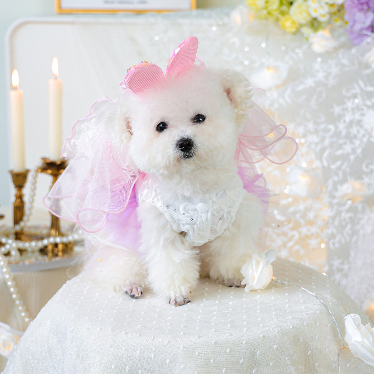宠物衣服 TUTU裙纱裙春夏公主蓬蓬裙 幻彩蓬蓬纱裙兔耳朵头纱-粉,宠物/宠物食品及用品,狗宠物服装/雨衣,淘宝优惠券,粉丝福利购,淘宝优惠卷