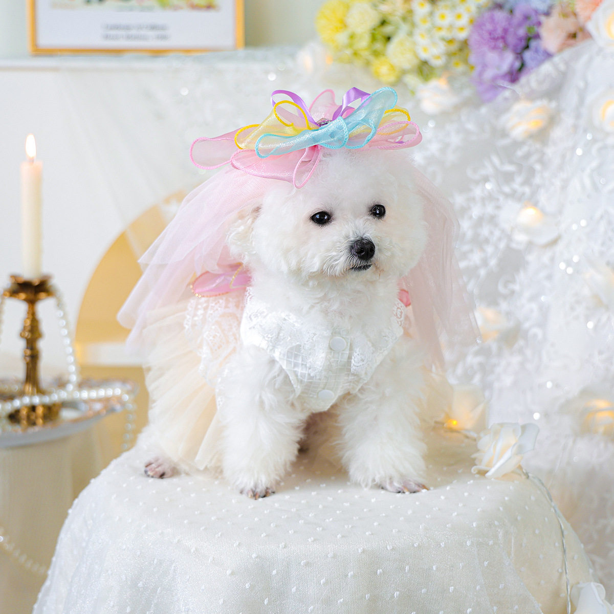 宠物衣服TUTU裙纱裙春夏公主蓬蓬裙彩虹星冰乐婚纱彩虹蝴蝶结头纱,宠物/宠物食品及用品,狗宠物服装/雨衣,淘宝优惠券,粉丝福利购,淘宝优惠卷