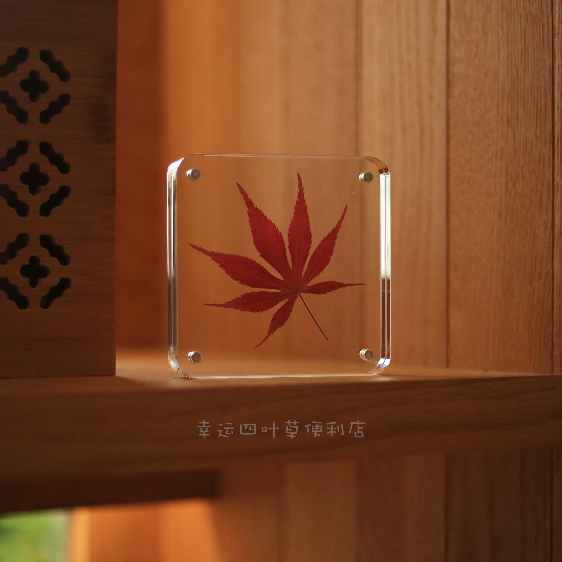 幸运四叶草便利店红枫叶植物标本生日教师节礼物家居书房摆件装饰