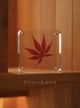 幸运四叶草便利店红枫叶植物标本生日教师节礼物家居书房摆件装饰