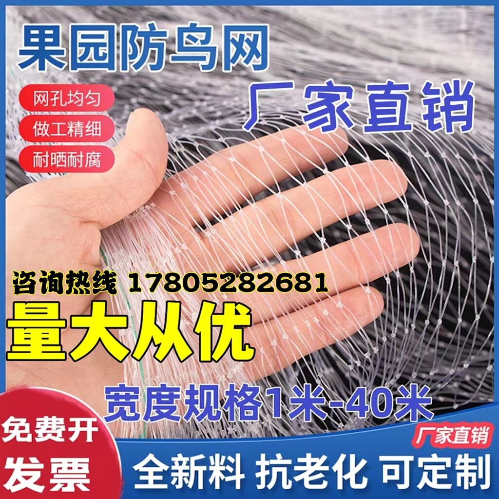 防鸟网透明尼龙防鸟网泥鳅鱼塘养殖网天网葡萄樱桃枸杞果园防鸟网