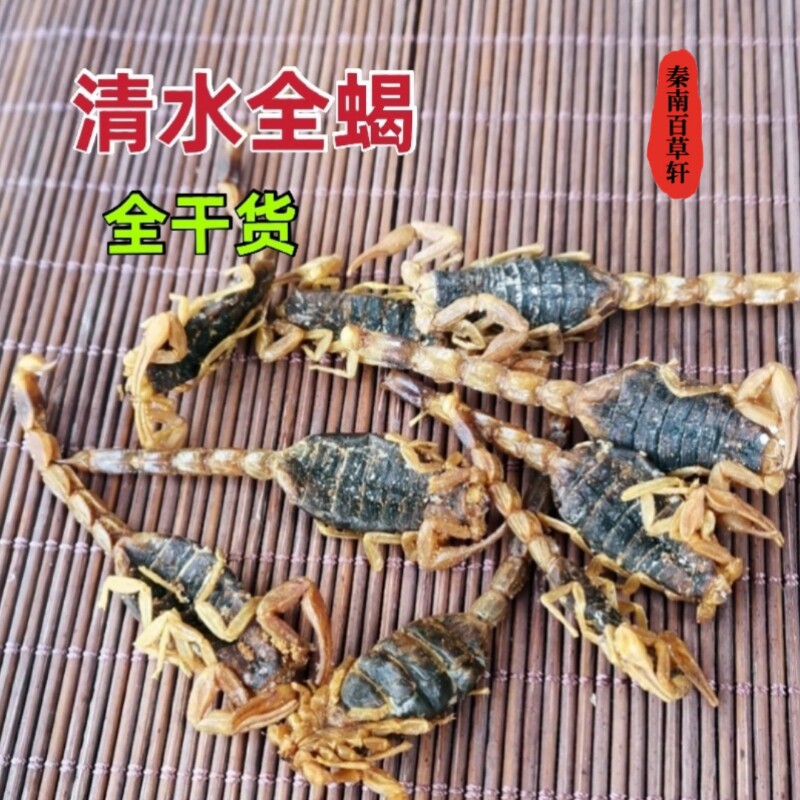 全蝎 全虫 清水蝎子 正品无硫货 非家养50克