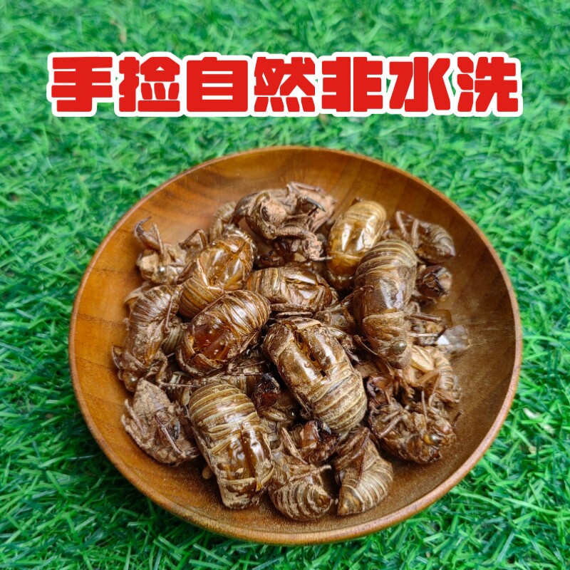 原产地天然正品虫蜕蝉衣知了壳虫蜕中药材50克包邮
