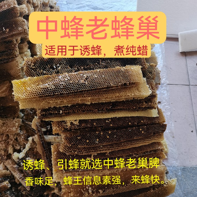 中蜂老蜂巢诱蜂老巢脾引蜂老巢皮土蜂巢诱引野蜂用老蜂巢蜡