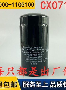 适配临工铲车重特938N柴油滤芯1TG000-1105100-CX0715柴油滤清器