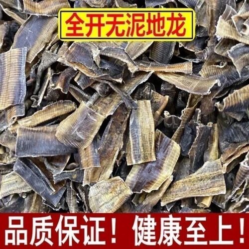 地龙 中药材广西新货 蚯蚓干地龙干整条正品全开无硫广地龙地龙段
