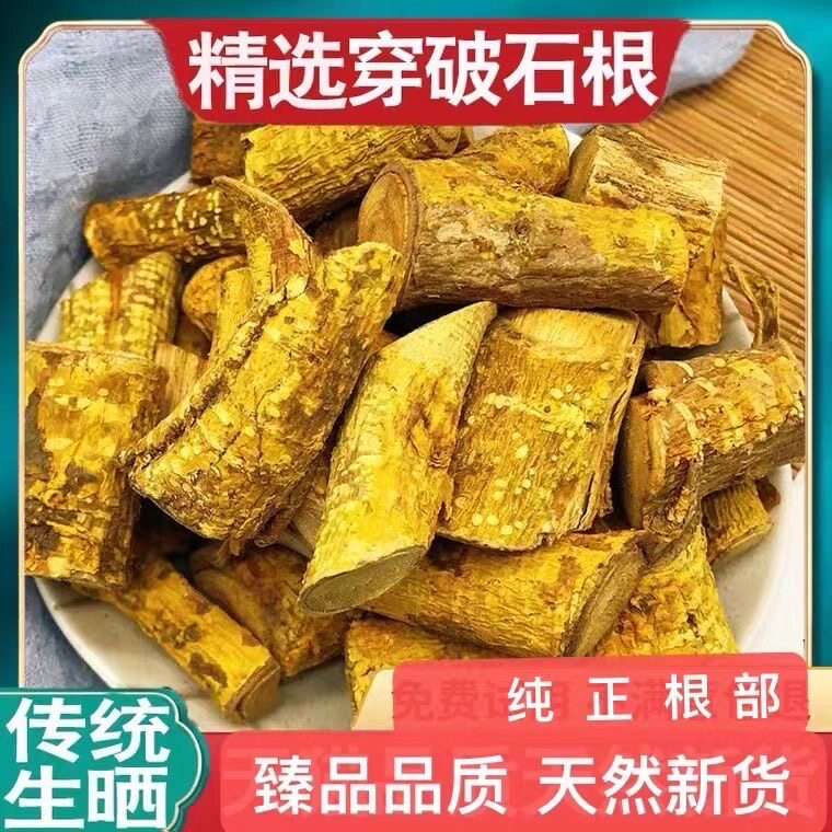 正宗穿破石新货穿破石无硫无添加川破石中药材穿破石根云南野生
